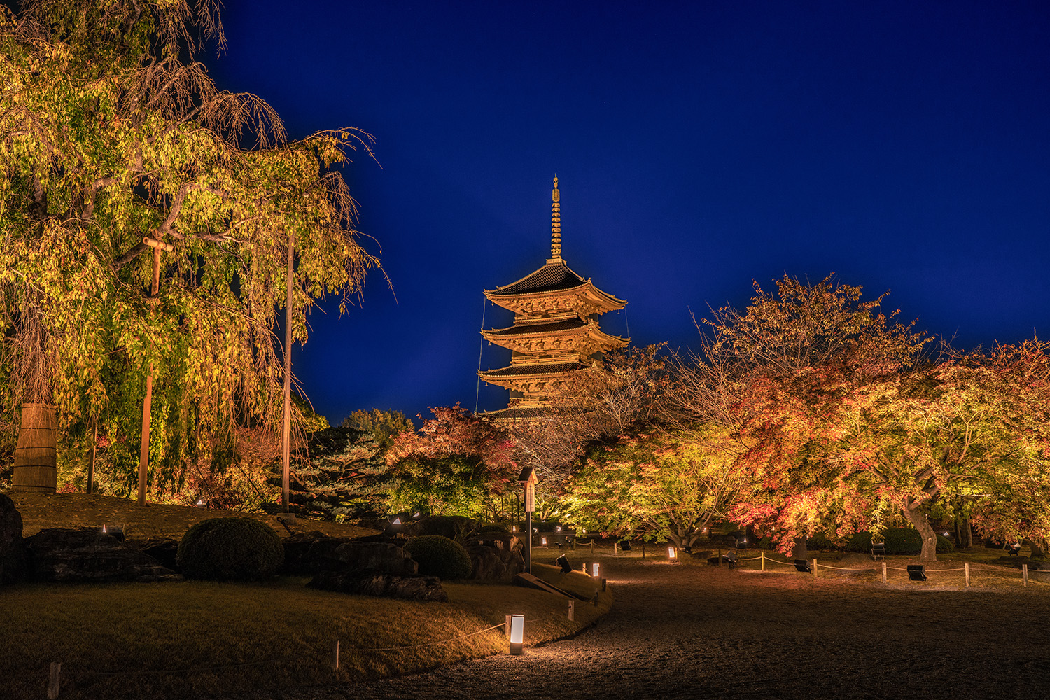 例年秋に行われる紅葉ライトアップ